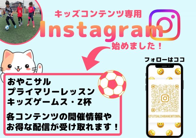 3：千葉県印西市のゼット千葉ニュータウン　プライマリーレッスン(単発スクール)