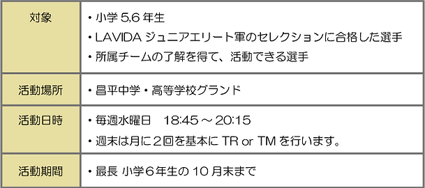 5：埼玉県北葛飾郡杉戸町の【スペシャルクラス】  LAVIDA ジュニアエリート軍