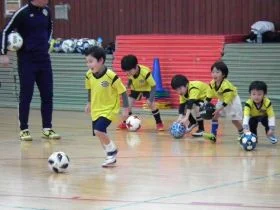 サッカー教室：千葉県流山市の柏レイソル A.A. 流山