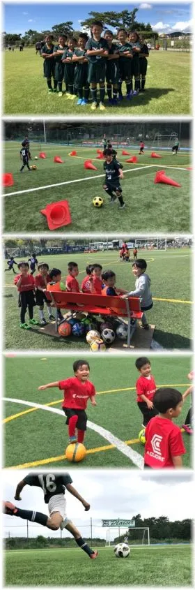 コーチ：埼玉県入間市・所沢市のプレジールスポーツクラブ ジュニアユース