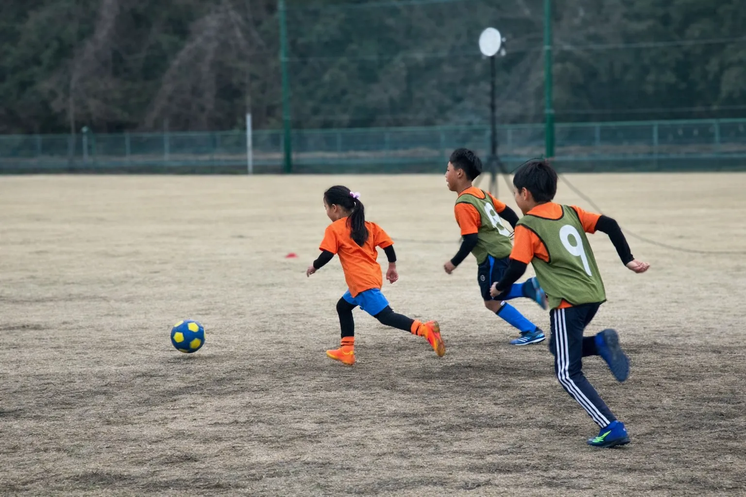 神奈川県大和市の大和シルフィード