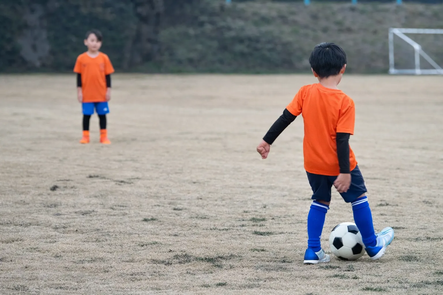2：神奈川県大和市の大和シルフィード
