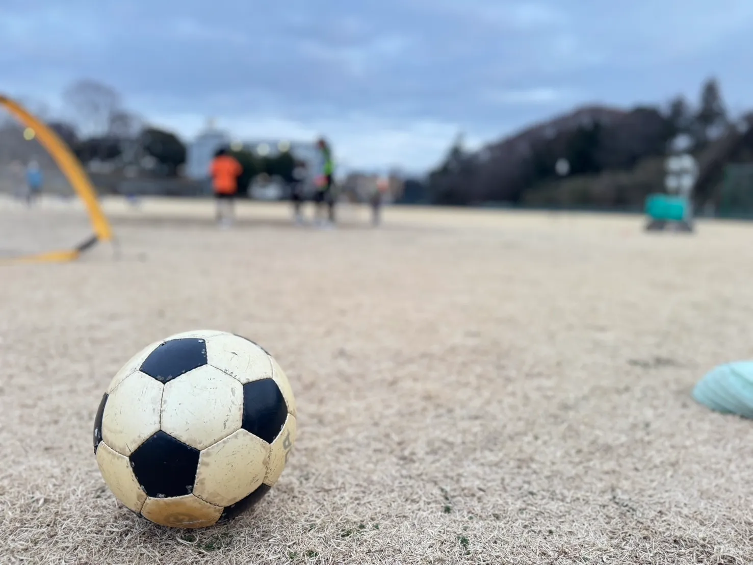 神奈川県大和市の大和シルフィード