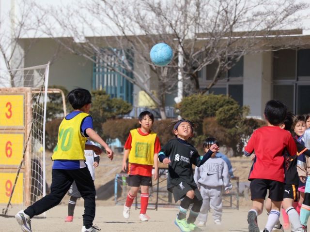 岐阜県多治見市のF.C.Brotes（ボルティス )