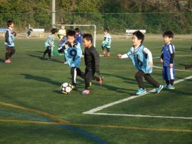 サッカー教室：千葉県柏市のカナリーニョFC