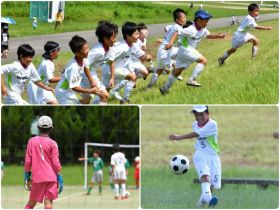 サッカースクール サッカーチーム サッカー教室 愛知県名古屋市西区 名古屋市中川区 名古屋市北区 北名古屋市 Vfc名古屋 Vaselina Soccer School