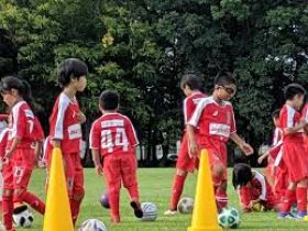 サッカースクール サッカーチーム サッカー教室 千葉県野田市 流山市 柏市 埼玉県春日部市 越谷市 吉川市 北葛飾郡松伏町 北葛飾郡杉戸町 幸手市 茨城県坂東市 境町 五霞町 インクルーシブ ジャパン サッカースクール