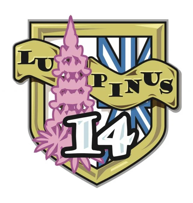 サッカー教室：福岡県福岡市のLUPINUS(ルピナス)サッカークラブ　福岡からJリーグ そして、世界へ！