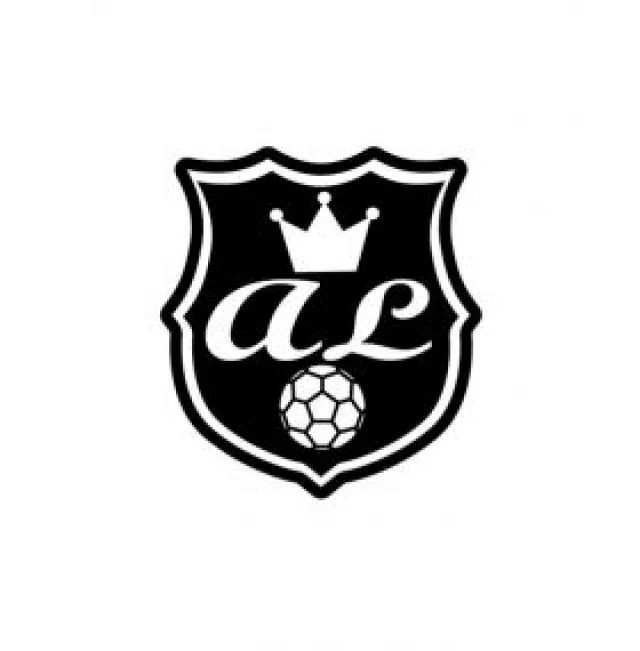 アネーロサッカースクール（大阪府堺市東区）